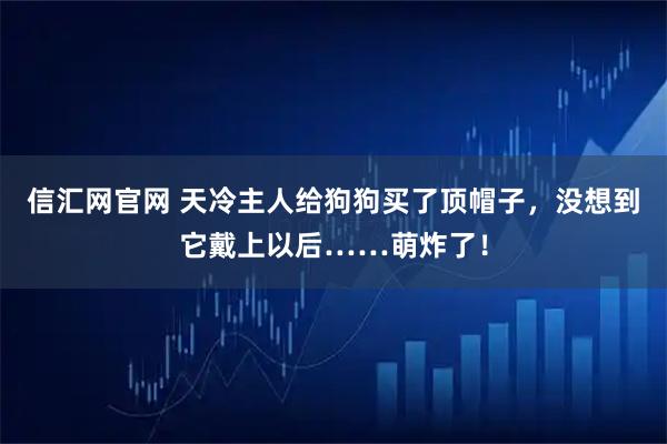 信汇网官网 天冷主人给狗狗买了顶帽子，没想到它戴上以后……萌炸了！